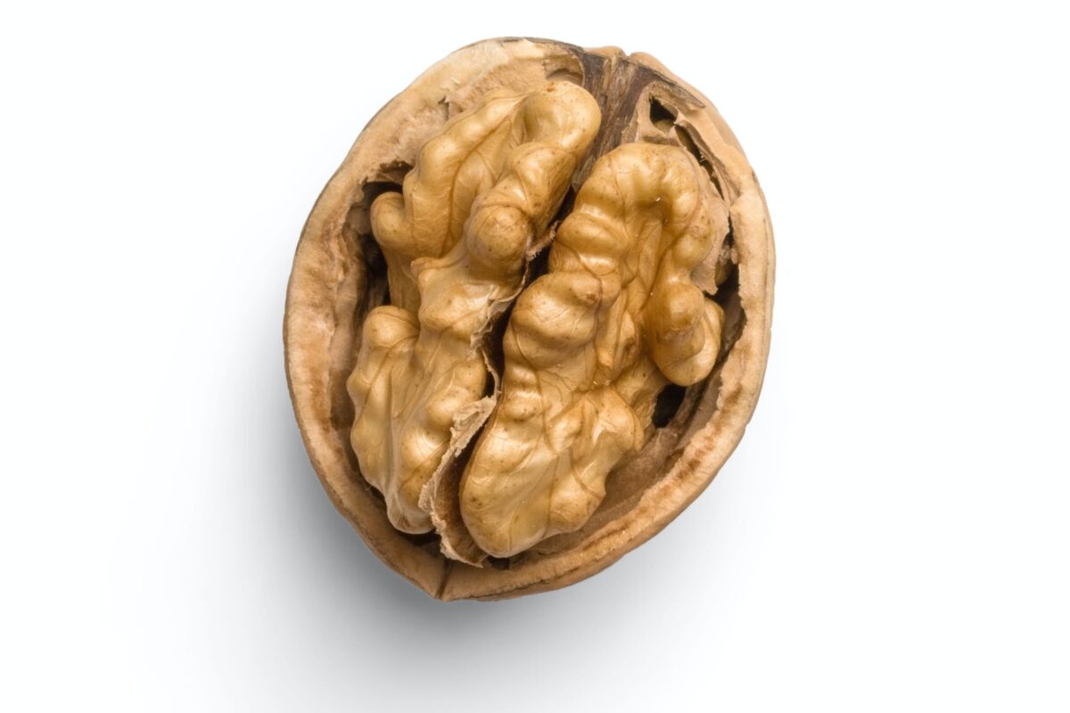 Walnut