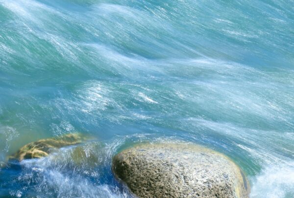 Healing Pond move with Anna